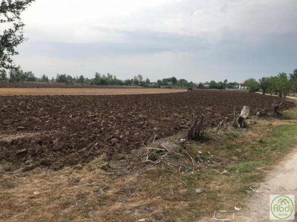 زمین با سند تک برگ در روستای نبی دهکا